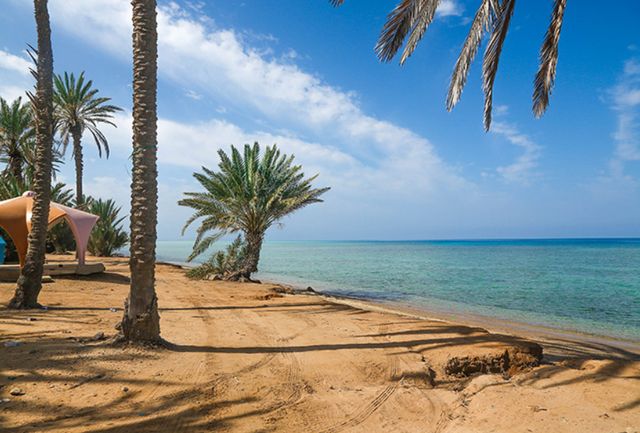 أفضل 3 من شواطئ أملج السعودية