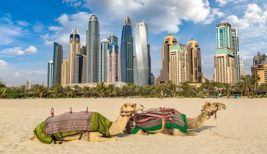 قطاع السياحة في الإمارات ينمو ويُسهم بـ 49.18 مليار دولار في الاقتصاد الوطني
