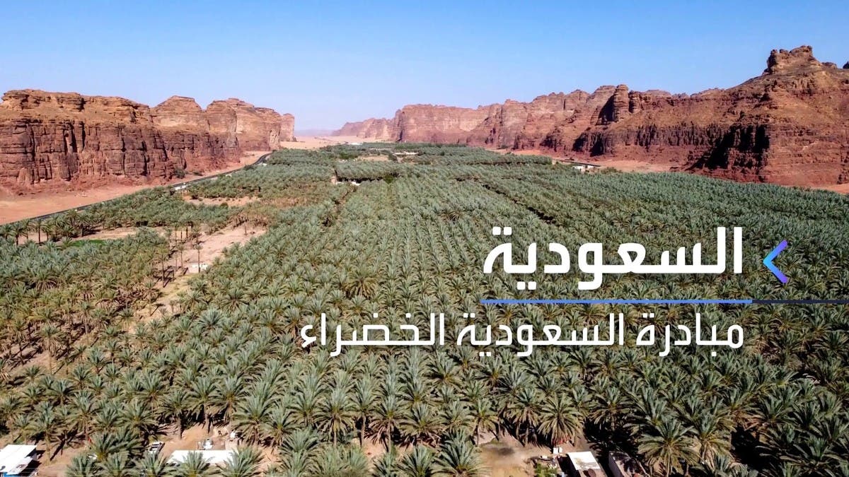 السعودية تزرع 10 مليارات شجرة ضمن مبادرة "السعودية الخضراء"