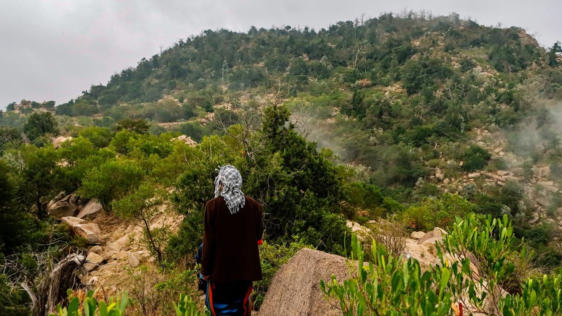 بحلة الشتاء.. مشاهد مبهرة لجبل شهير جنوب السعودية