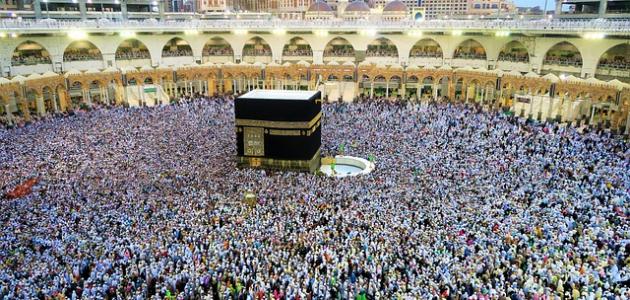 غرفة شركات السياحة: تنظيم موسم الحج بدأ منذ 6 أشهر ورعاية صحية متكاملة للحجاج