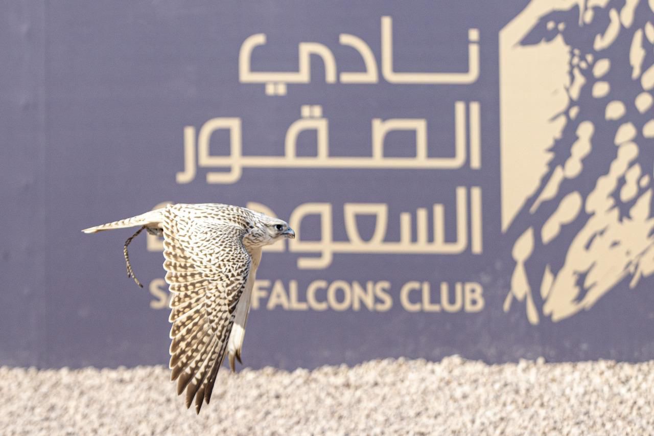 480 فائزًا يتنافسون على جوائز تتجاوز 10 ملايين ريال في كأس نادي الصقور السعودي 2025