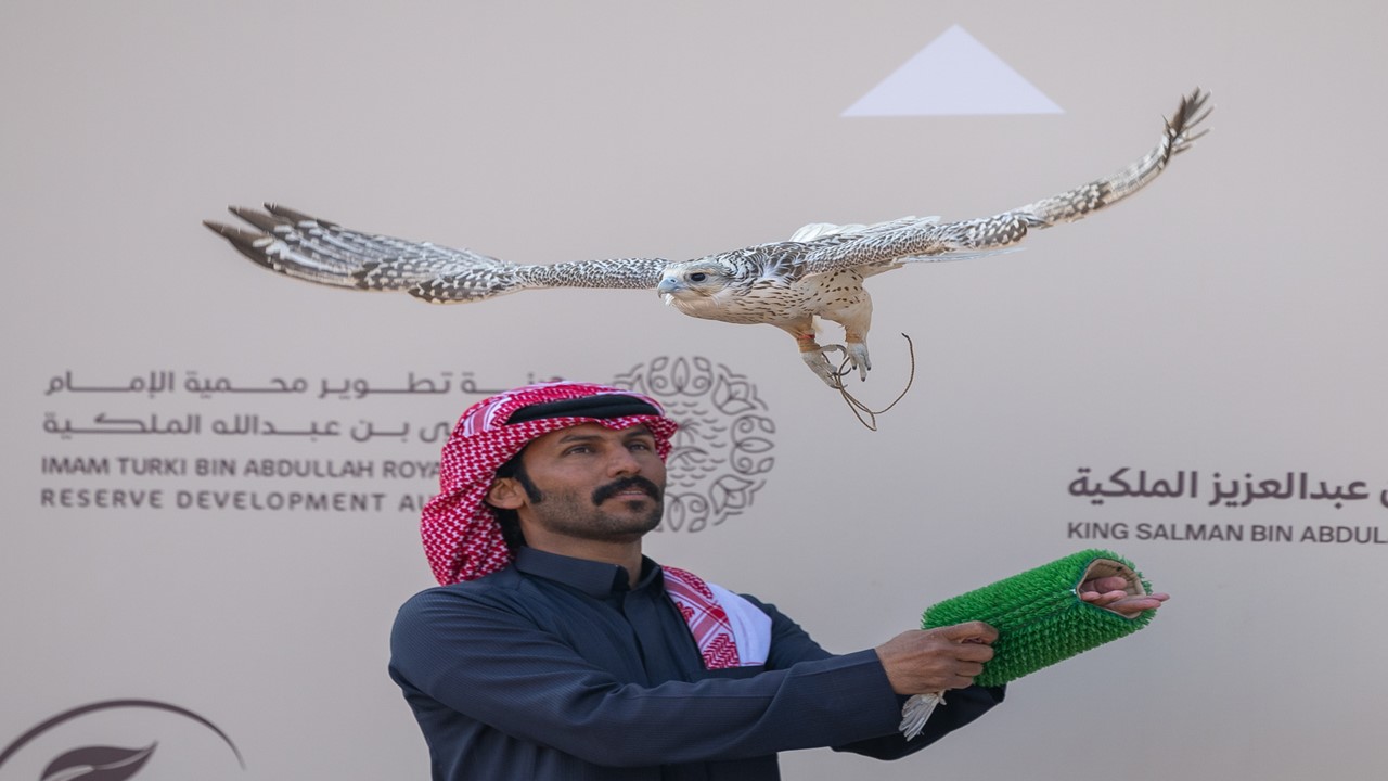 انطلاق مهرجان الملك عبدالعزيز للصقور 2025 بمشاركة صقاري 9 دول