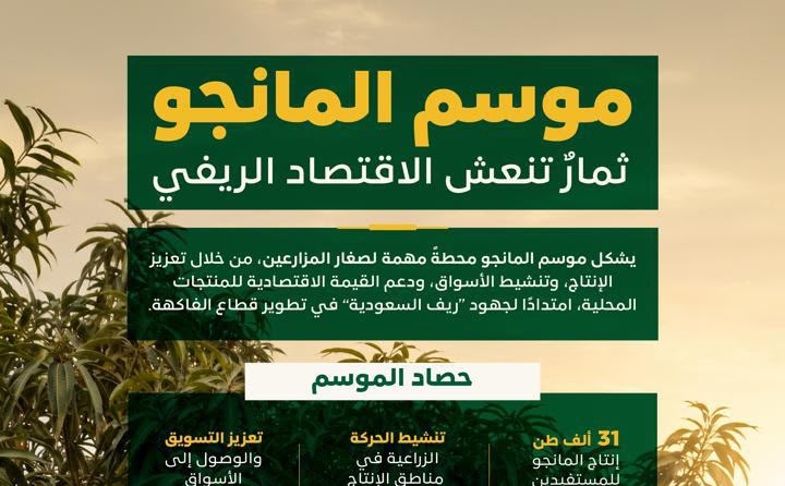"ريف السعودية": موسم إنتاج المانجو يُسهم في نمو الحراك الاقتصادي ودعم السياحة الريفية الزراعية