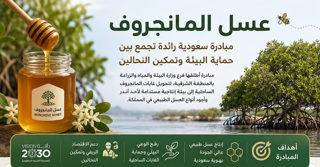 *«عسل المانجروف».. كيف تحولت غابات الساحل الشرقي إلى قصة نجاح تجمع بين حماية البيئة وتمكين النحالين؟*