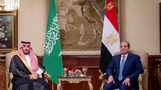ولي العهد السعودي يصل إلى مصر والرئيس السيسي في مقدمة مستقبليه