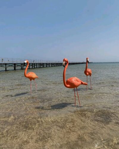 IMG 20250810 WA0010