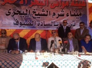 7853521891469890129 (1)