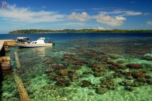 Coral_island جزيرة_ كورال