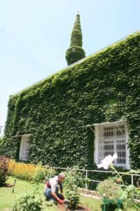 المسجد-الاخضر-في-اضنة-683x1024