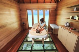 14885884_1627117264252525_1838709024_n