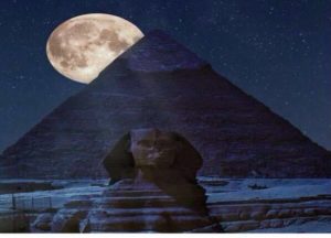 11911759_1648868525395587_1167269313_n