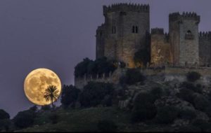 14054071_536193209912250_6539496927547524270_n