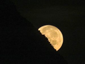 15027492_1158398714246107_8761471143087661021_n