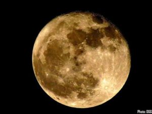 15056463_683536601826367_3224428392937856418_n