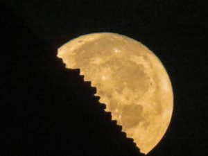 15078610_1158398727579439_6332692242733340275_n