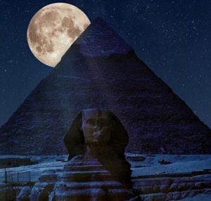 15085585_536193163245588_1611746967123505464_n