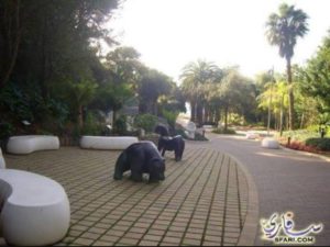 15086245_1818453028439596_2048237375_n