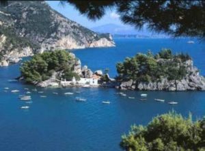 15134229_1818452878439611_963085117_n