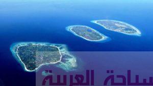 15218662_1640832886214296_776129640_n