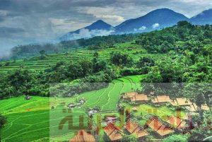 15240295_1640833576214227_1319578146_n