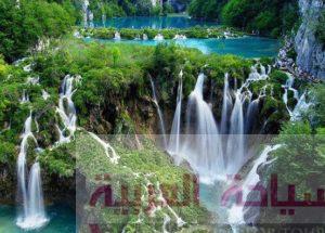 15300523_1640833392880912_826472824_n