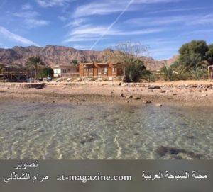 15979085_1660258394271745_1622579690_n