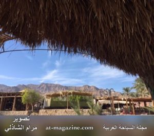 16118646_1660258477605070_1717309738_n