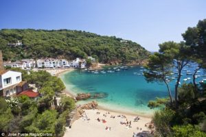 0ff54f100e82d4ad801e93f19529f01c