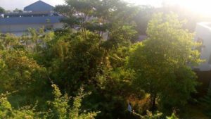 18009274_1702743590023225_1838346261_n