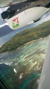 18109724_1702743623356555_326340702_n