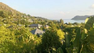 18109765_1702743550023229_820954142_n (1)