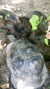 18110857_1702743503356567_1853788354_n