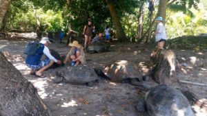 18136315_1702743823356535_195258600_n