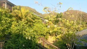 18136750_1702743860023198_4490865_n