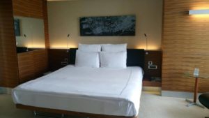 19427731_1726852320945685_1145821581_n