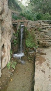 19621771_1730909607206623_130014840_n