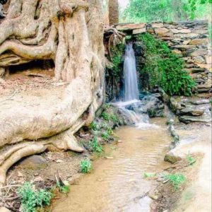 19679660_1730909757206608_605164111_n