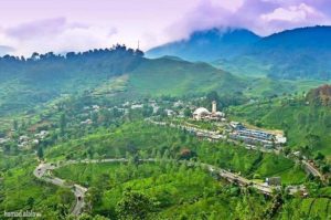 19691528_1730911370539780_1825031714_n