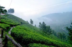 19692386_1730911183873132_667089342_n