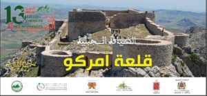 19883623_1734128683551382_250405894_n