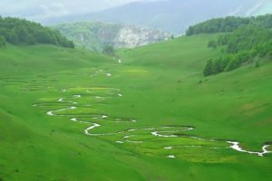 الوادي البارد