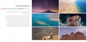 000-3364635371501556440181