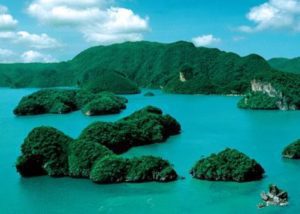 135095249027016109245243079055129242077051150080 (2)