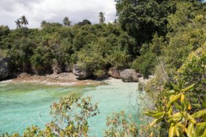 2941306-217367968 (1)