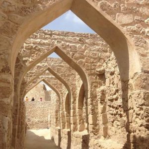 22657578_1559179067450868_1678136753_n