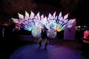 22834379_1773250302972553_624270951_n