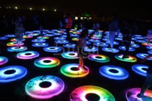 22834699_1773250209639229_205811576_n