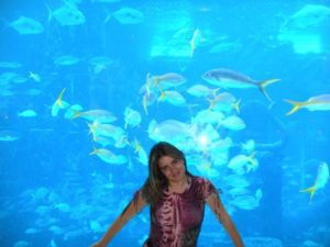 23023729_1798029203541822_594831564_n