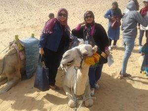 2017_12_9_16_53_22_874